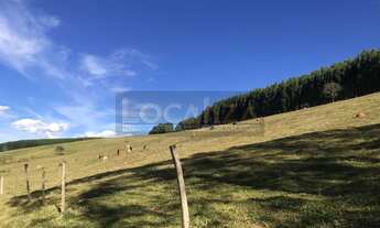 Imagem: Sítio à venda em Cunha-SP, bairro Baleiro