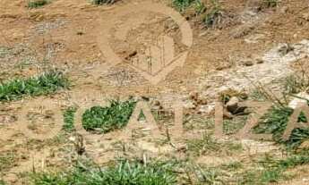 Imagem 3: TERRENO CONDOMÍNIO RUDÁ, 260 M², BAIRRO FLORESTA - SÃO JOSÉ DOS CAMPOS - SP