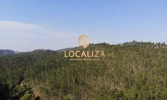 Imagem 2: Fazenda de 47 Alqueires em Guararema-SP: Casa com 6 Quartos, 4 Suítes e Plantação de Eucal