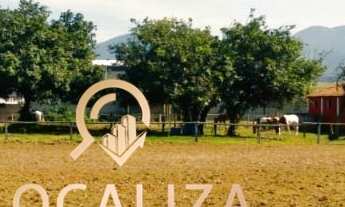 Imagem: EXCELENTE SÍTIO DE 9,44 HECTARES NO VALE