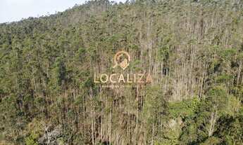 Imagem 3: Fazenda de 47 Alqueires em Guararema-SP: Casa com 6 Quartos, 4 Suítes e Plantação de Eucal