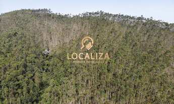 Imagem 6: Fazenda de 47 Alqueires em Guararema-SP: Casa com 6 Quartos, 4 Suítes e Plantação de Eucal