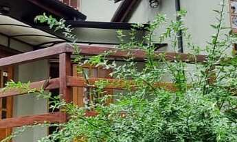 Imagem: Portal da Mantiqueira Santo Antonio do Pinhal