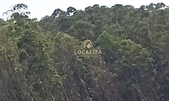 Imagem 6: Fazenda de EUCALIPTO e GADO / 337 hectares / 02 casas (principal e empregados ) / Escritur