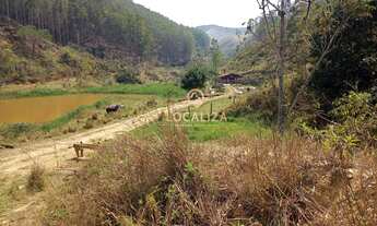 Imagem 4: Fazenda de EUCALIPTO e GADO / 337 hectares / 02 casas (principal e empregados ) / Escritur