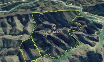 Imagem 4: Fazenda de EUCALIPTO e GADO / 337 hectares / 02 casas (principal e empregados ) / Escritur