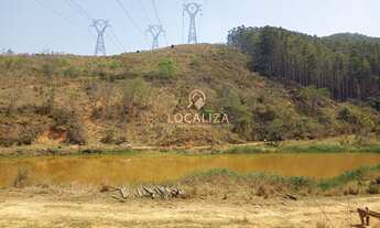 Imagem 5: Fazenda de EUCALIPTO e GADO / 337 hectares / 02 casas (principal e empregados ) / Escritur