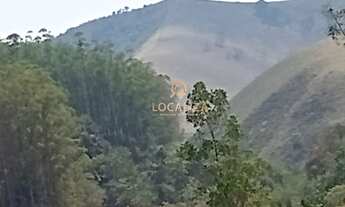 Imagem 5: Fazenda de EUCALIPTO e GADO / 337 hectares / 02 casas (principal e empregados ) / Escritur