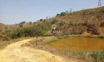 Imagem 6: Fazenda de EUCALIPTO e GADO / 337 hectares / 02 casas (principal e empregados ) / Escritur