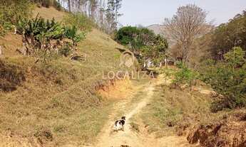 Imagem 3: Fazenda de EUCALIPTO e GADO / 337 hectares / 02 casas (principal e empregados ) / Escritur