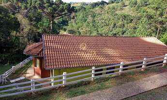 Imagem 6: Com 3 dormitórios um sendo suíte, uma área total de 116,00 m2, região com bons restaurant