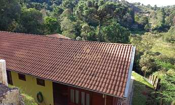 Imagem 4: Com 3 dormitórios um sendo suíte, uma área total de 116,00 m2, região com bons restaurant