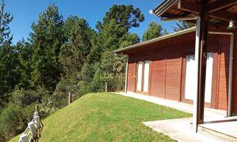 Imagem 3: Com 3 dormitórios um sendo suíte, uma área total de 116,00 m2, região com bons restaurant