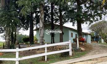 Imagem 3: SITIO A VENDA - PORTO FELIZ SÃO PAULO