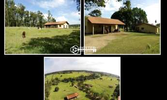 Imagem 6: Excelente Fazenda pronta para Agricultura e Pecuária à venda - Quadra/SP