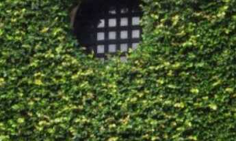 Imagem 6: VENDA TERRENO - COND VILA REAL - ITU/SP