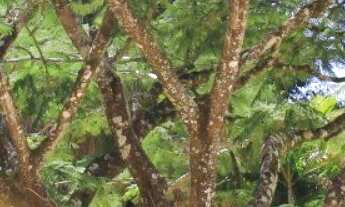 Imagem 7: VENDA TERRENO - COND VILA REAL - ITU/SP