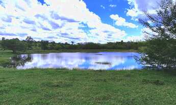 Imagem 4: GRANDE OPORTUNIDADE FAZENDA 294 ALQUEIRES A VENDA - BOTUCATU/SP