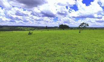 Imagem 6: GRANDE OPORTUNIDADE FAZENDA 294 ALQUEIRES A VENDA - BOTUCATU/SP