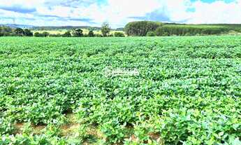 Imagem: Fazenda 32 Alqueires Perto da Cidade Interior