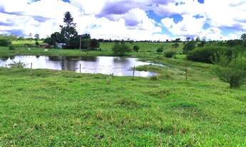Imagem 5: GRANDE OPORTUNIDADE FAZENDA 294 ALQUEIRES A VENDA - BOTUCATU/SP