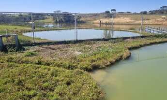 Imagem 5: Fazenda para Agronegócio café ou gado