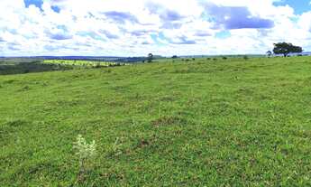 Imagem 7: GRANDE OPORTUNIDADE FAZENDA 294 ALQUEIRES A VENDA - BOTUCATU/SP