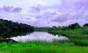 Imagem: EXCELENTE FAZENDA 287 ALQUEIRES AGRICOLA