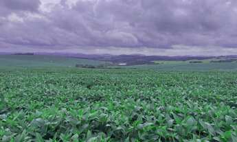 Imagem 4: EXCELENTE FAZENDA 287 ALQUEIRES AGRICOLA EM ITAPORANGA/SP