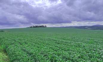 Imagem 3: EXCELENTE FAZENDA 287 ALQUEIRES AGRICOLA EM ITAPORANGA/SP