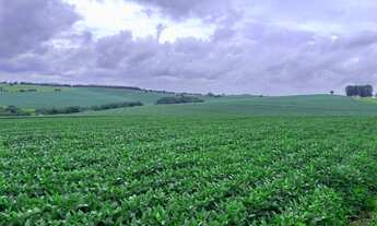 Imagem 2: EXCELENTE FAZENDA 287 ALQUEIRES AGRICOLA EM ITAPORANGA/SP