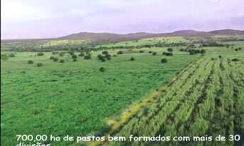 Imagem: FAZENDA EM MANGA/MG - GRANDE OPORTUNIDADE!
