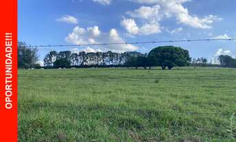 Imagem: Fazenda 20 Alqueires com Valor Reduzido