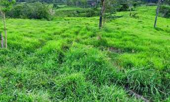 Imagem 5: OPORTUNIDADE FAZENDA PECUARIA 2.508 HA - PEDRA PRETA/MT