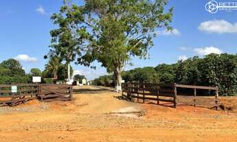 Imagem: EXEPCIONAL FAZENDA DE CAFÉ 130 HECTARES