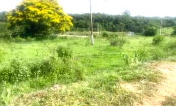 Imagem: ÁREA INDUSTRIAL 5.522m2 - $ 120,00 O M2