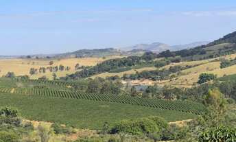 Imagem: Fazenda de café 136 Alqueires - Com casa