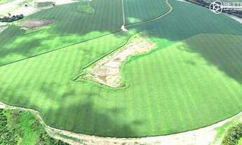Imagem 2: FAZENDA PRODUTIVA E IRRIGADA- REGIAO PARANAPANEMA/SP