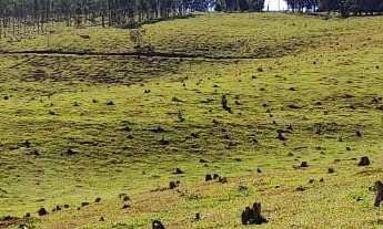 Imagem: LINDA FAZENDA DE PECUARIA E EUCALIPTO