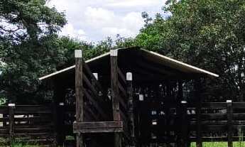 Imagem 6: GRANDE OPORTUNIDADE FAZENDOLA 12,19 ALQUEIRES - ITAPETININGA/SP