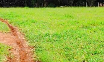 Imagem 3: GRANDE OPORTUNIDADE FAZENDOLA 12,19 ALQUEIRES - ITAPETININGA/SP