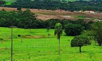 Imagem 4: GRANDE OPORTUNIDADE FAZENDOLA 12,19 ALQUEIRES - ITAPETININGA/SP