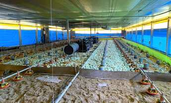 Imagem: GRANJA, 1 dormitório, 1 banheiros, 1 vaga