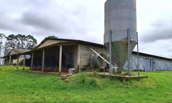 Imagem 2: GRANJA DE FRANGO OTIMA OPORTUNIDADE A VENDA - REGIÃO TATUI/SP