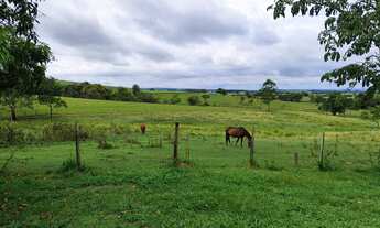 Imagem: GRANJA DE FRANGO OTIMA OPORTUNIDADE A VENDA