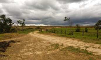 Imagem: FAZENDA A VENDA 39,58 ALQUEIRES - PORTO