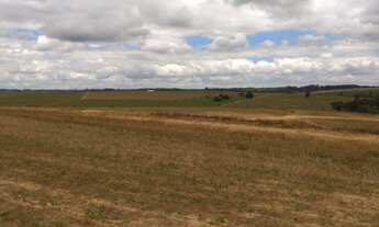 Imagem 6: FAZENDA A VENDA 39,58 ALQUEIRES - PORTO FELIZ/SP