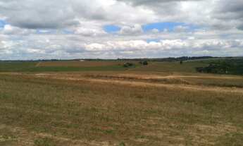 Imagem 3: FAZENDA A VENDA 39,58 ALQUEIRES - PORTO FELIZ/SP