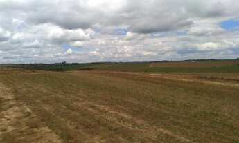 Imagem 5: FAZENDA A VENDA 39,58 ALQUEIRES - PORTO FELIZ/SP