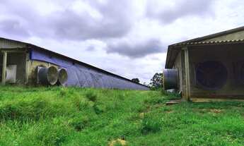 Imagem 4: GRANJA DE FRANGO OTIMA OPORTUNIDADE A VENDA - REGIÃO TATUI/SP
